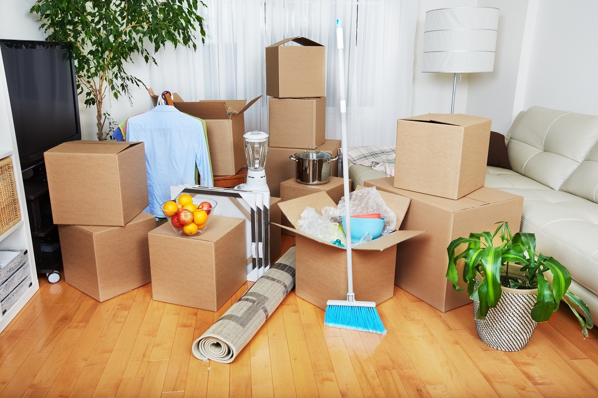 Move In/Out Cleaning Services